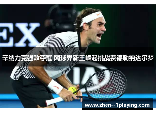 辛纳力克强敌夺冠 网球界新王崛起挑战费德勒纳达尔梦